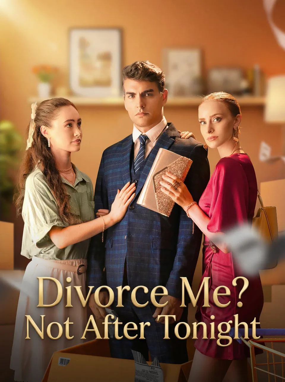 Divorce Me Not After Tonight poster